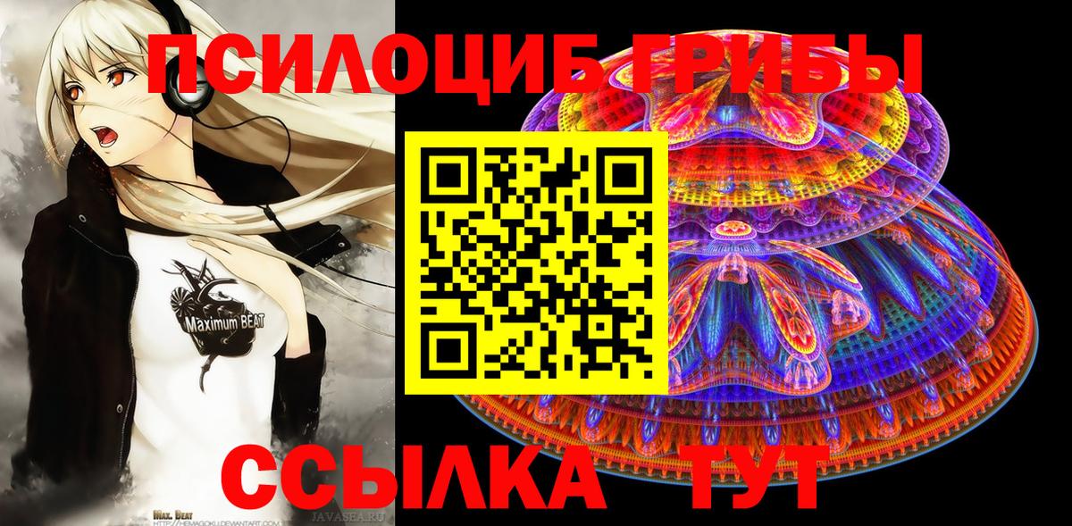 Псилоцибиновые грибы прущие грибы Димитровград