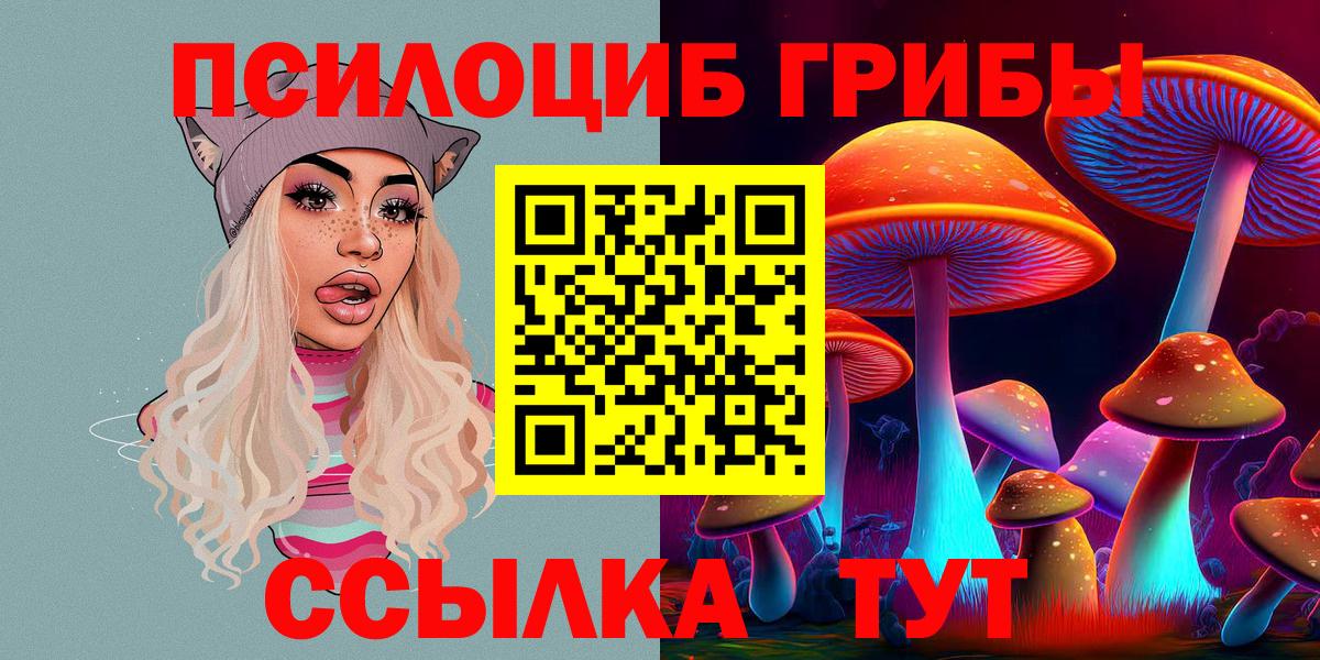 цены наркотик  Псилоцибиновые грибы Psilocybe  Псилоцибиновые грибы MAGIC MUSHROOMS  Вход с VPN  Димитровград 