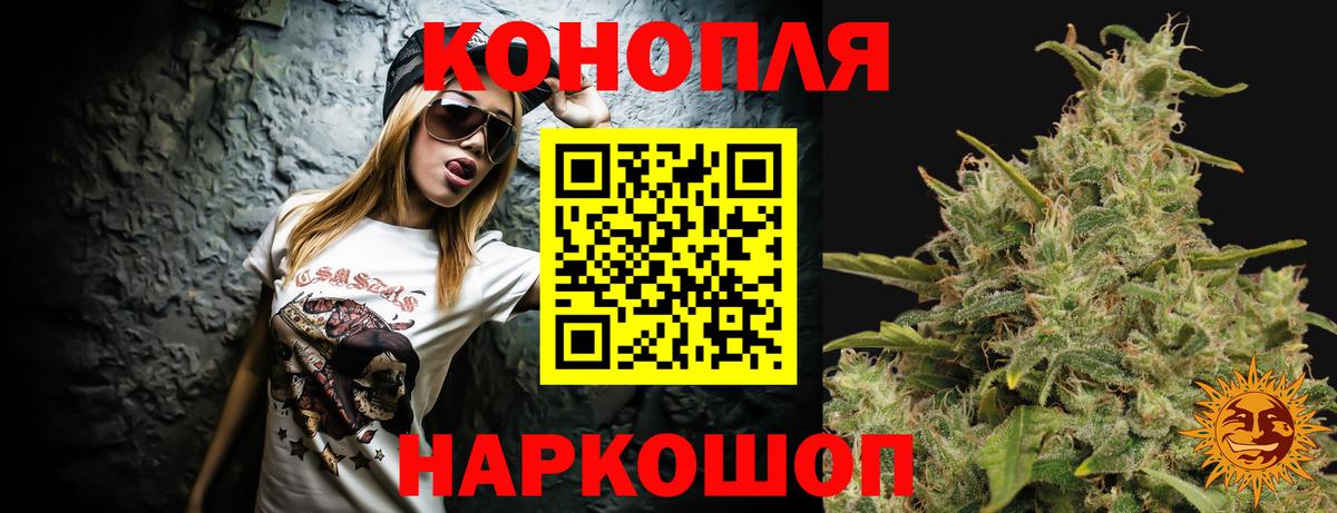 Канабис семена  Канабис семена  МАРИХУАНА сатива  Димитровград  Вход с VPN 